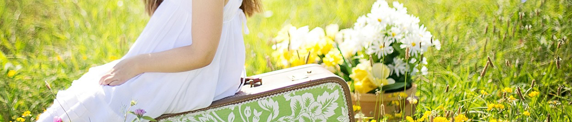 Header Graphic