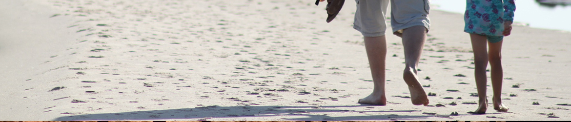 Header Graphic